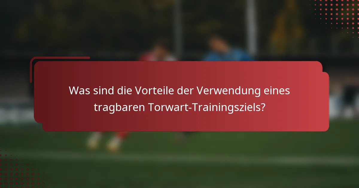 Was sind die Vorteile der Verwendung eines tragbaren Torwart-Trainingsziels?