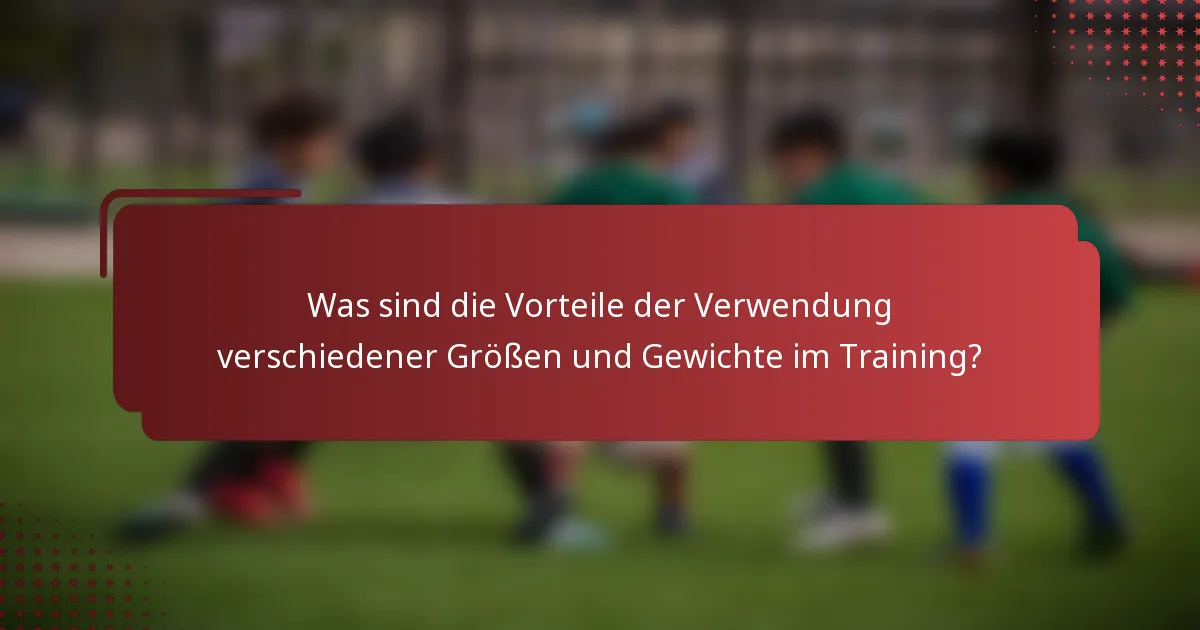 Was sind die Vorteile der Verwendung verschiedener Größen und Gewichte im Training?