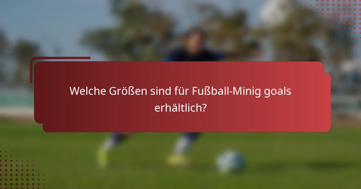 Welche Größen sind für Fußball-Minig goals erhältlich?