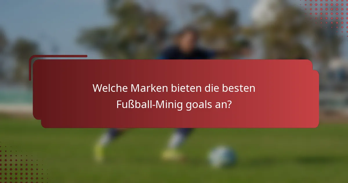 Welche Marken bieten die besten Fußball-Minig goals an?