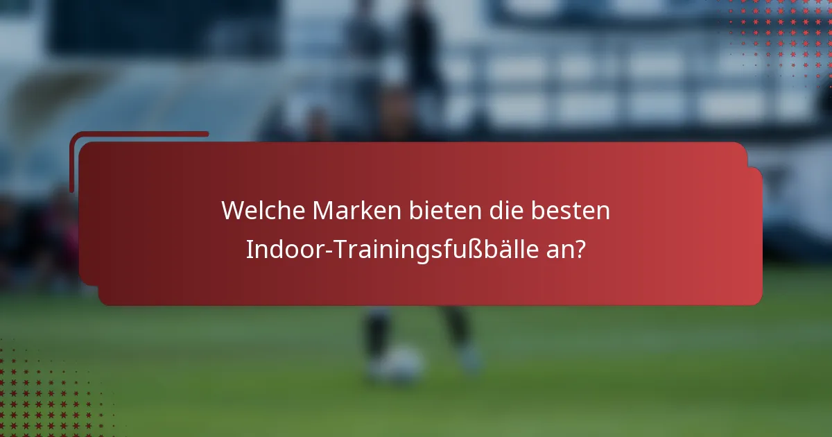 Welche Marken bieten die besten Indoor-Trainingsfußbälle an?