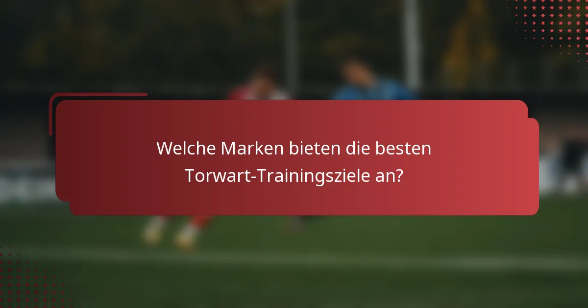 Welche Marken bieten die besten Torwart-Trainingsziele an?