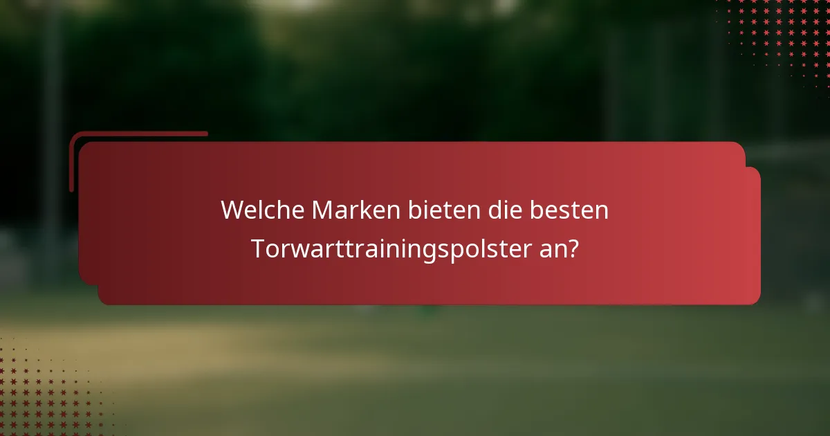 Welche Marken bieten die besten Torwarttrainingspolster an?