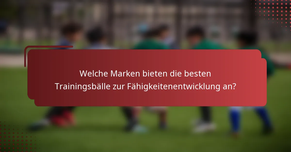 Welche Marken bieten die besten Trainingsbälle zur Fähigkeitenentwicklung an?