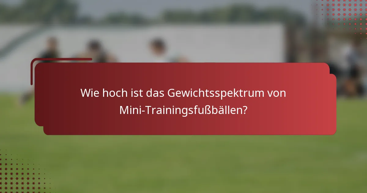 Wie hoch ist das Gewichtsspektrum von Mini-Trainingsfußbällen?