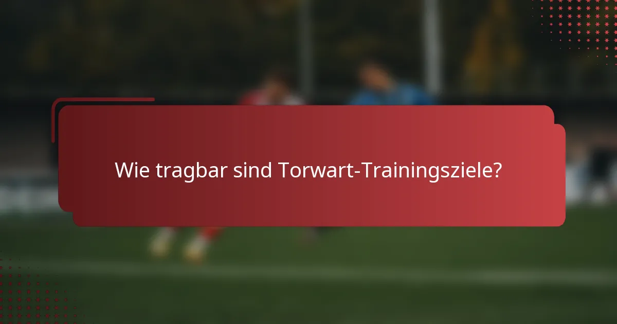 Wie tragbar sind Torwart-Trainingsziele?